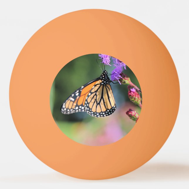 Monarch lunch ping pong ball (Front)