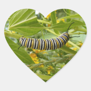 Monarch Making Heart Sticker