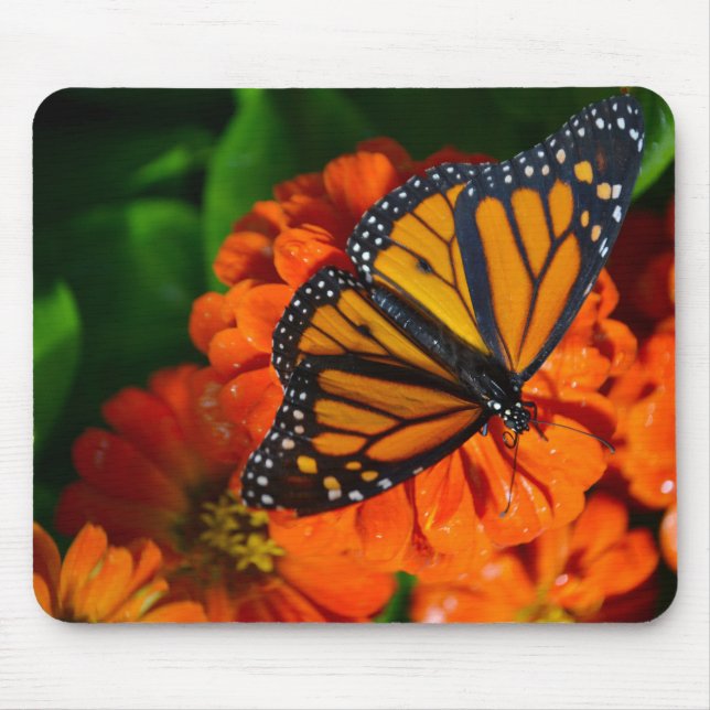 Monarch Mouse Pad (Front)