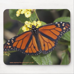 Monarch Mousemat