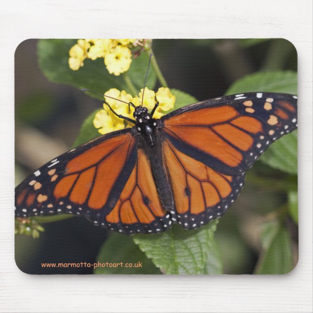 Monarch Mousemat (Front)
