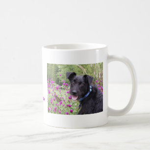 Monarch Mug
