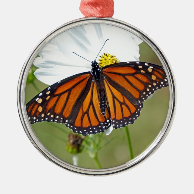 Monarch on Cosmos Metal Tree Decoration (Front)