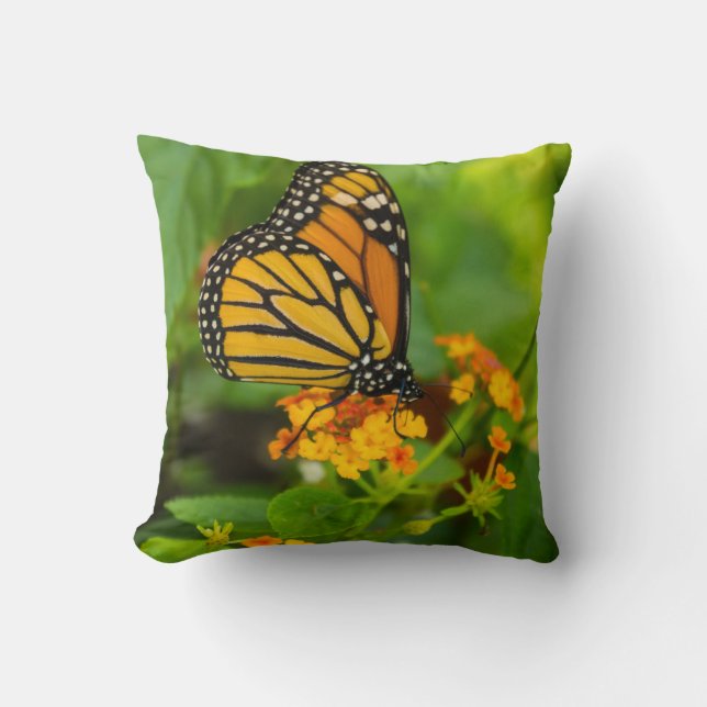 Monarch On Lantana Cushion (Front)