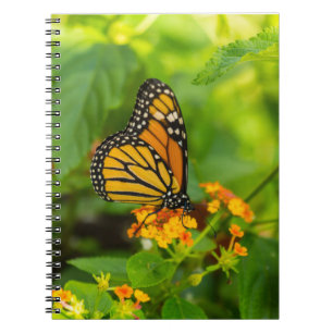 Monarch On Lantana Notebook