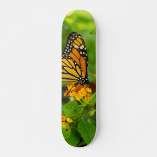 Monarch On Lantana Skateboard