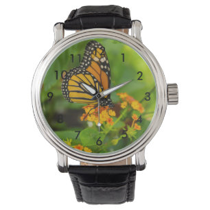 Monarch On Lantana Watch