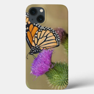 Monarch on pasture Thistle Prairie Ridge iPhone 13 Case