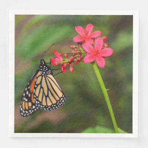 Monarch on Penta flowers Napkin