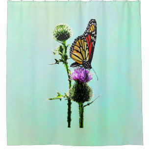 Monarch on Thistle Shower Curtain