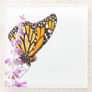 Monarch perched on lavender glass coaster