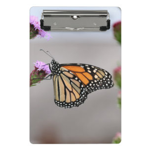 Monarch pocket folder mini clipboard