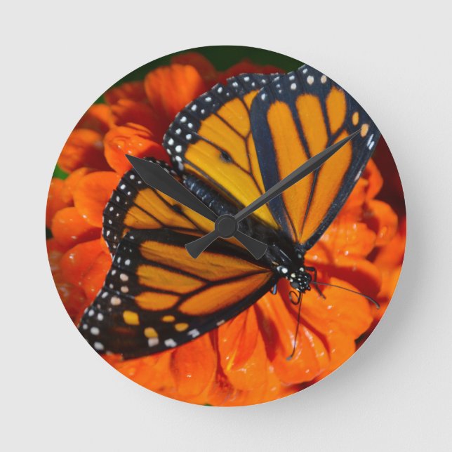 Monarch Round Clock (Front)