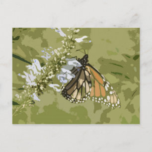 Monarch & Salvia Postcard