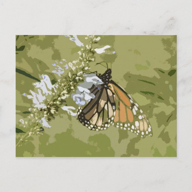 Monarch & Salvia Postcard (Front)