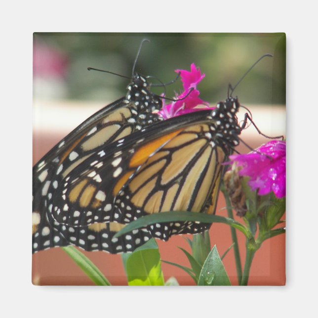 Monarch Twins #1-magnet Magnet (Front)