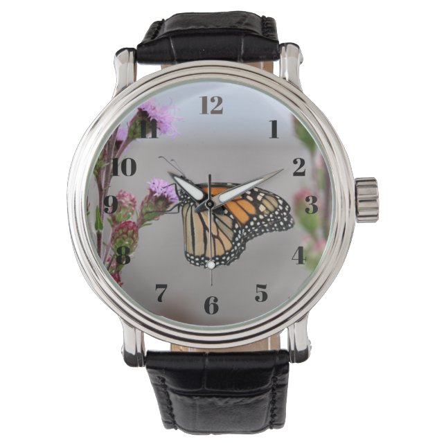 Monarch Watch (Front)