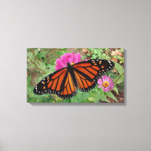 Monarch with Wings Outspread on Pink Zinnia