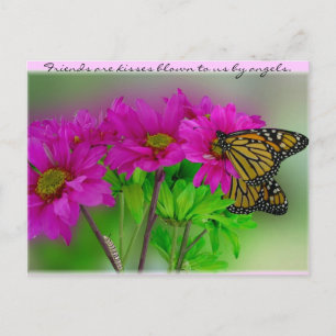 Monarchs and Daisies Postcard