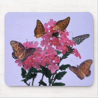 Monarchs and Pink Penta Mouse Pad