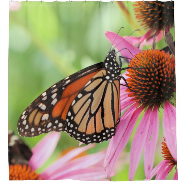 Monarchy Shower Curtain (Front)