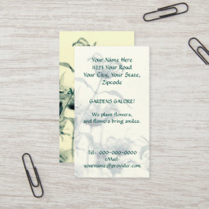 Monarda or Bee Balm Business Card