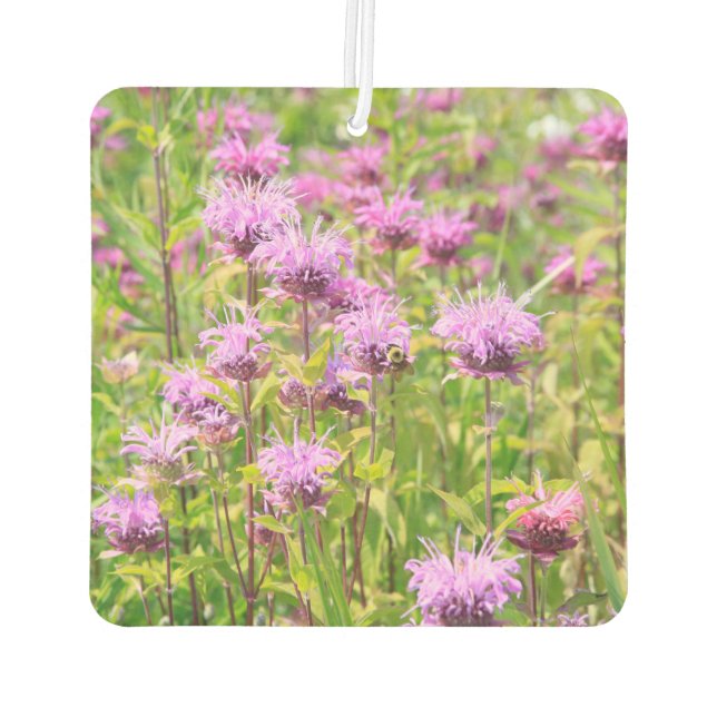 Monarda Wildflower Car Air Freshener (Back)