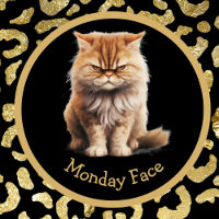 Monday Face Or Your Text Angry Tabby Cat