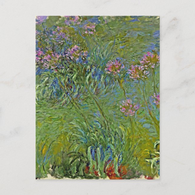 Monet - Agapanthus Flowers,  Holiday Postcard (Front)