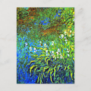 Monet - Iris at the Sea Rose Pond, famous painting Postcard