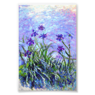 Monet Lilac Irises Photo Print
