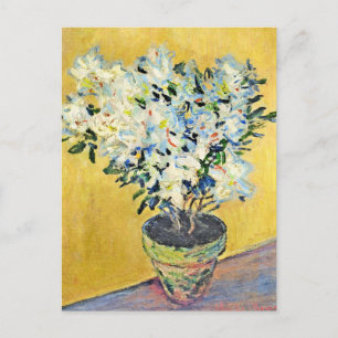 Monet - White Azaleas in a Pot, Postcard
