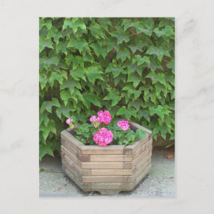 Monet's flowers postcard