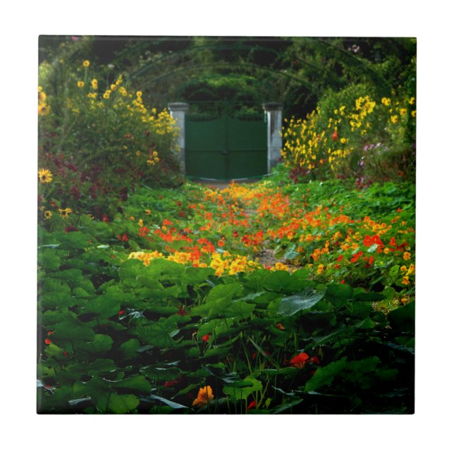 Monet's Garden, Giverny, France in Autumn Tile (Front)