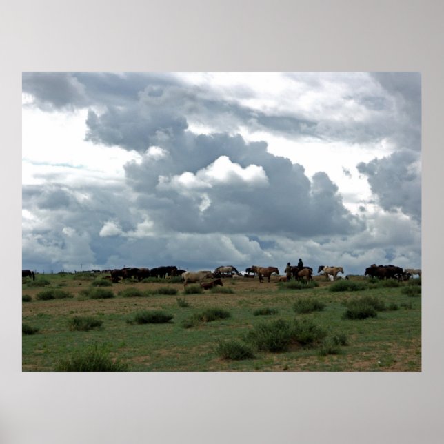 Mongolian Horses Poster (Front)