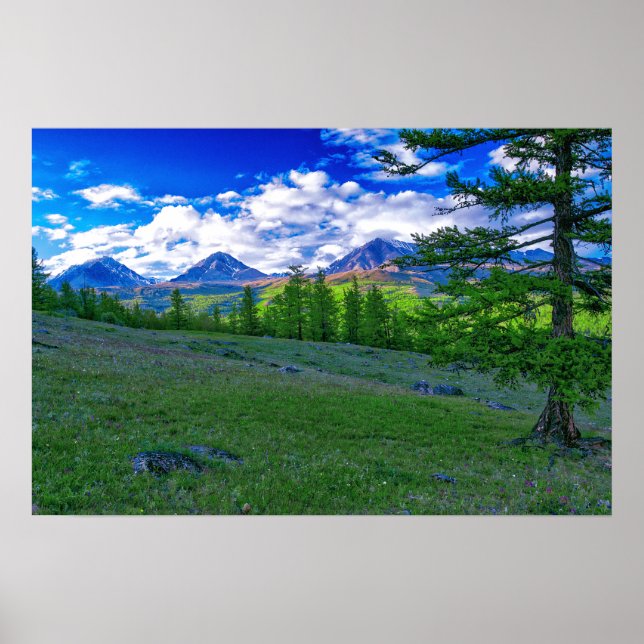 Mongolian Mountain Poster (Front)