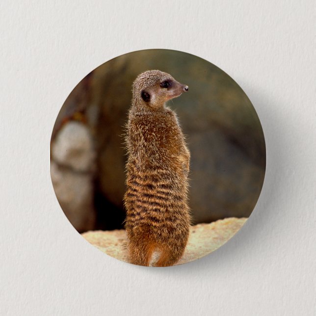 Mongoose10 6 Cm Round Badge (Front)