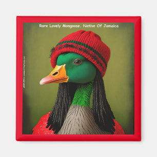 Mongoose Reggae Good From Jamaica Hilarious  Magnet