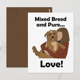 Mongrel Dog Mixed Breed Pure Love Pet Birthday Postcard