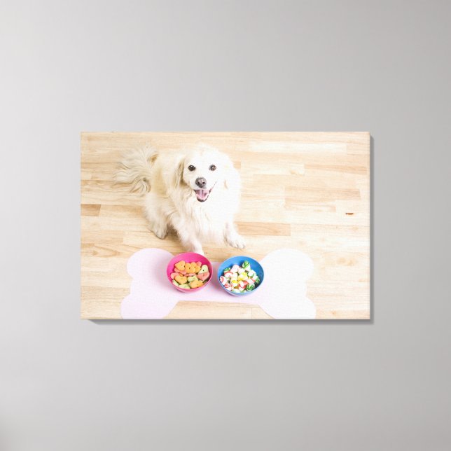 mongrel sitting in front of two bowls with dog canvas print (Front)