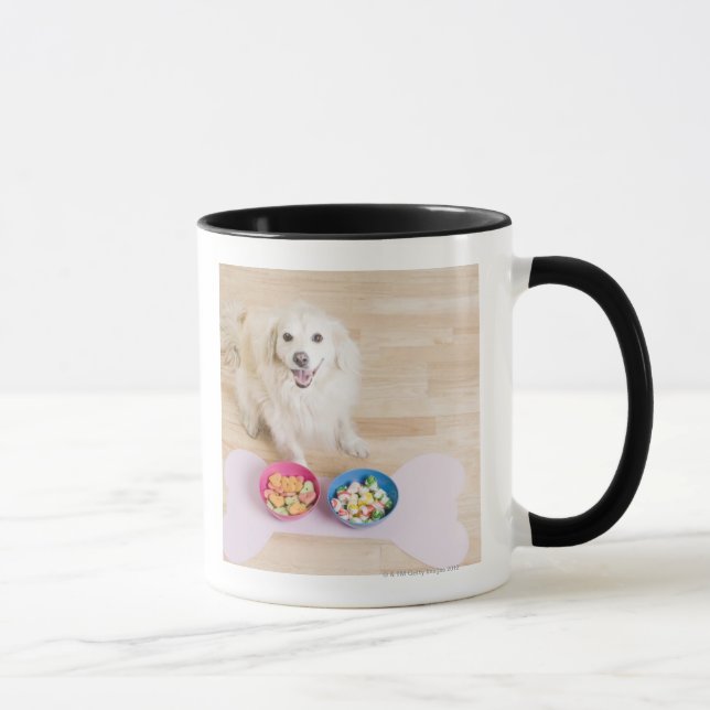 mongrel sitting in front of two bowls with dog mug (Right)