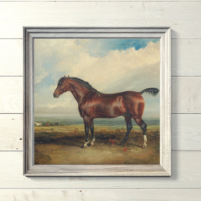 "Monitor" Horse Painting by James Ward Canvas Print (Creator Uploaded)