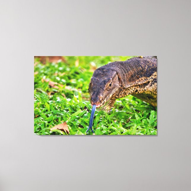 Monitor Lizard Canvas Print (Front)