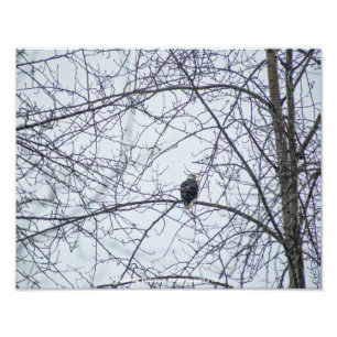 Monitoring Photo Print