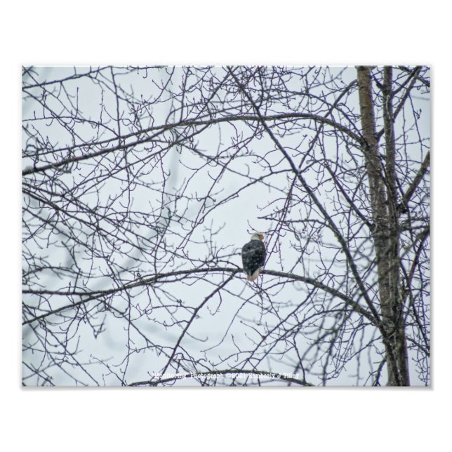 Monitoring Photo Print (Front)