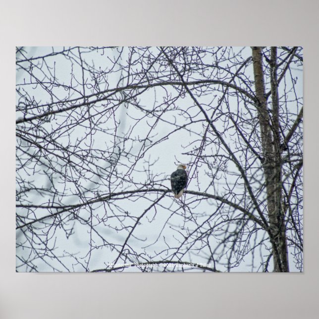 Monitoring Poster (Front)