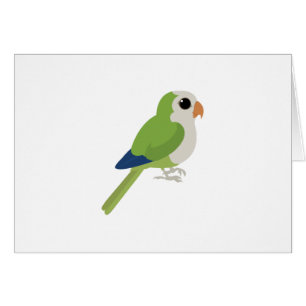 Monk Parakeet