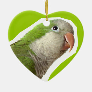 Monk Parakeet Ceramic Tree Decoration