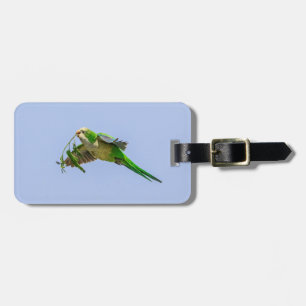 Monk Parakeet in the Rio Grande Valley Luggage Tag