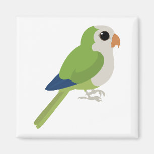 Monk Parakeet Magnet